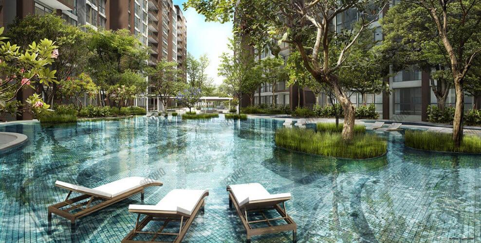 Bellewoods Pool 2