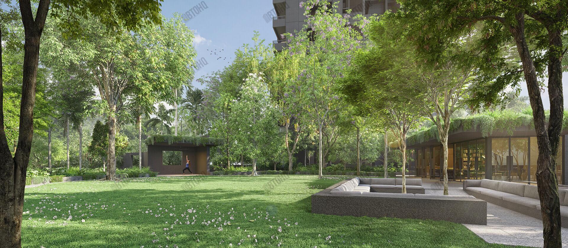 Midtown Modern Lawn